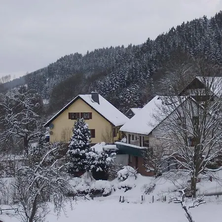 In Olsberg-assinghausen Appartamento Assinghausen