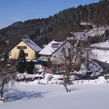 In Olsberg-assinghausen Appartamento *