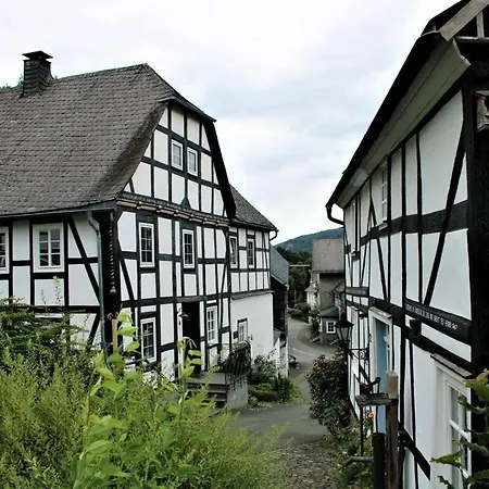 In Olsberg-assinghausen Appartamento *