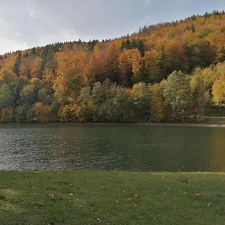 In Olsberg-assinghausen
